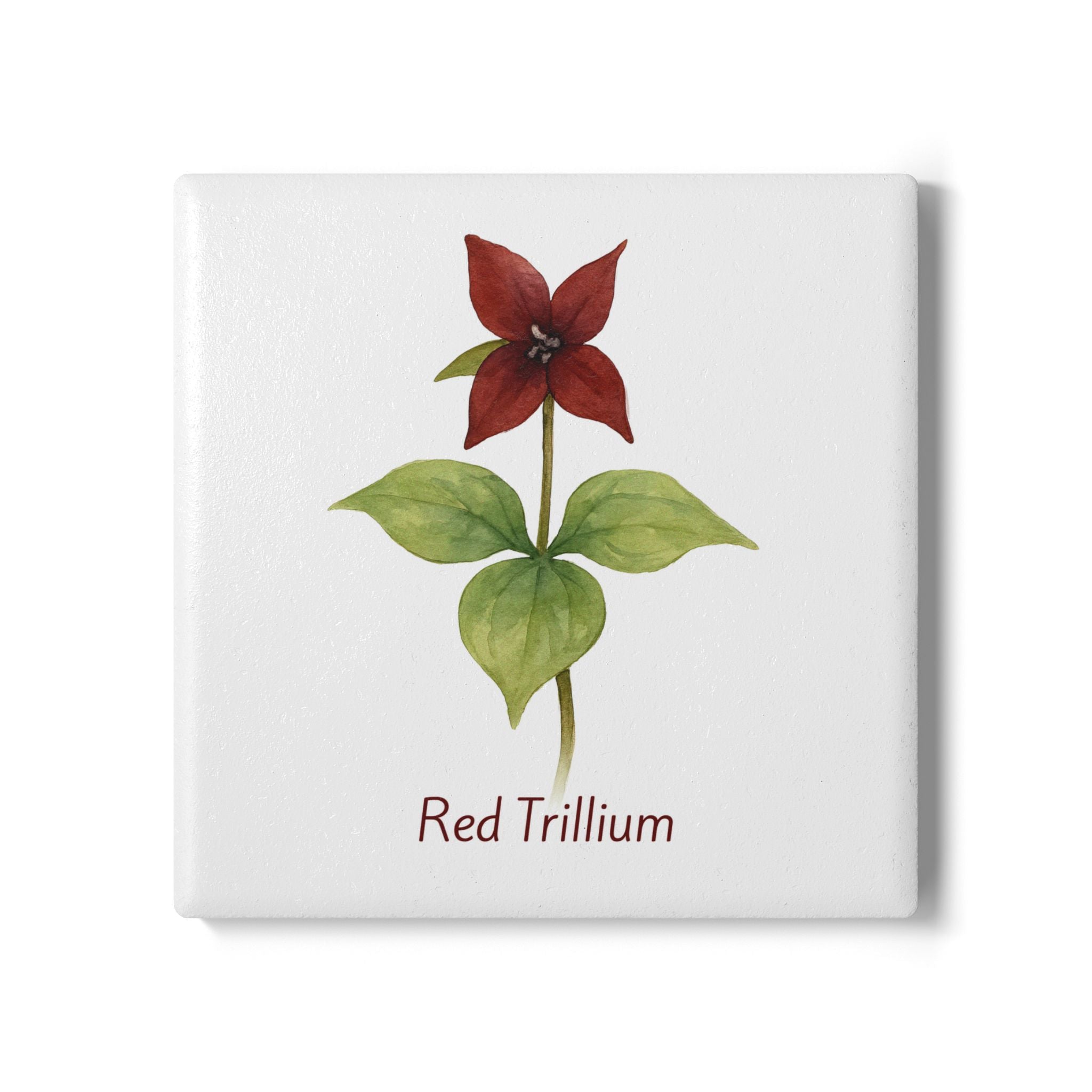 Red Trillium Art Coaster