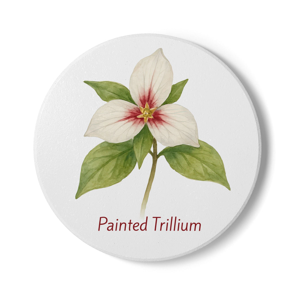 Painted Trillium Art Coaster