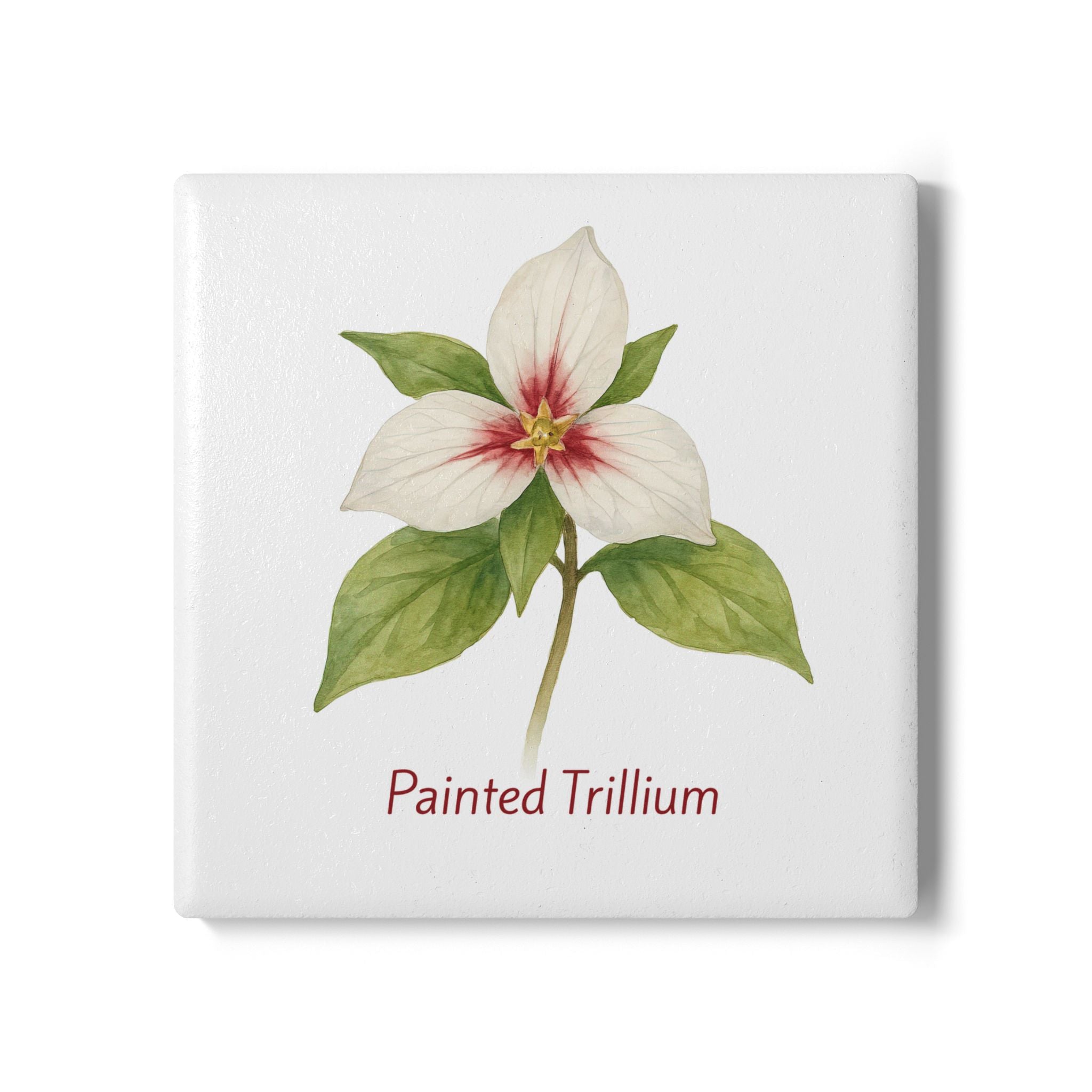 Painted Trillium Art Coaster