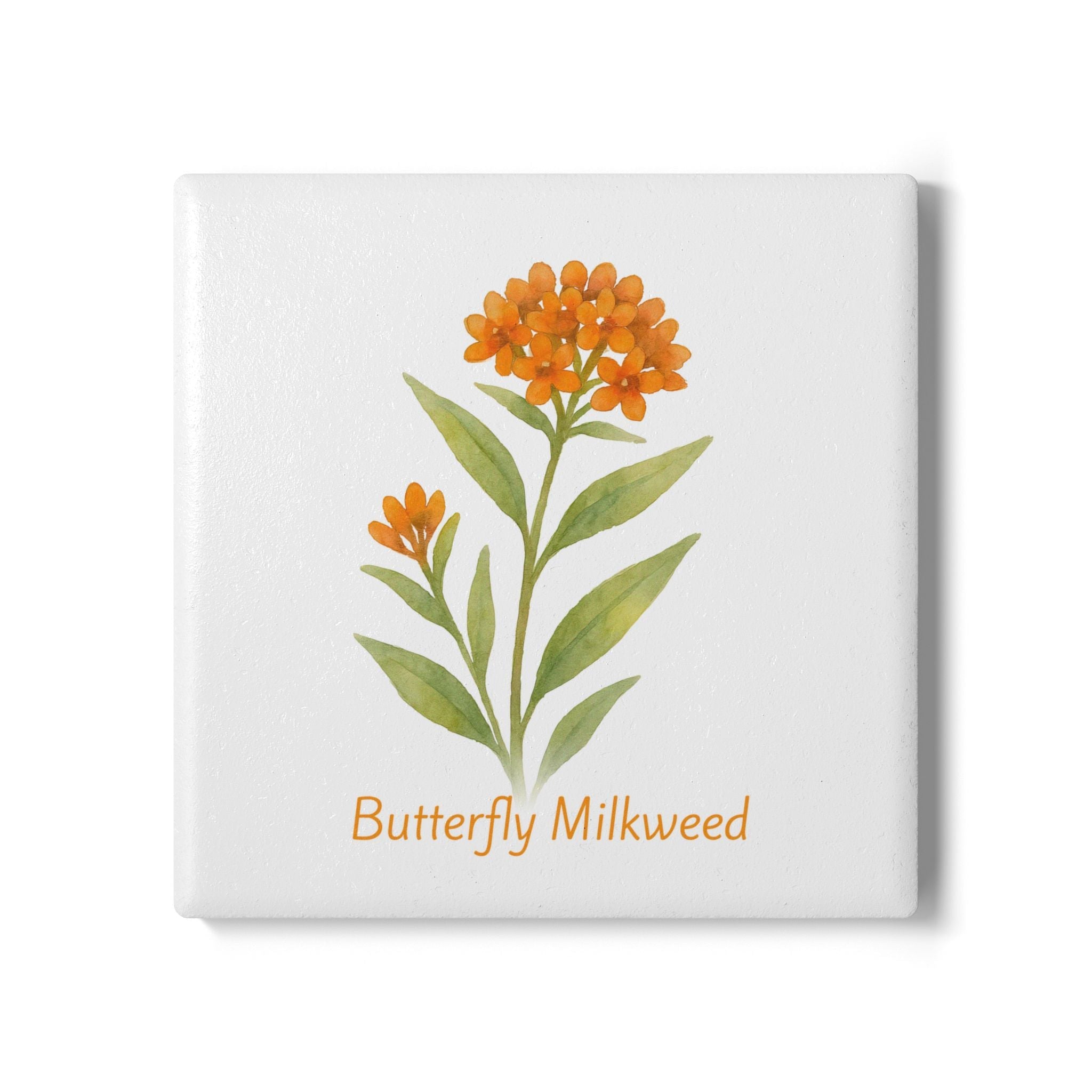 Butterfly Milkweed Art Coaster