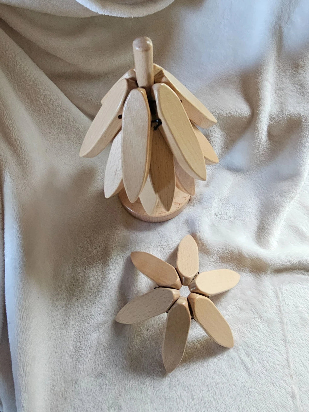 Wood Tree Coasters Set of 4