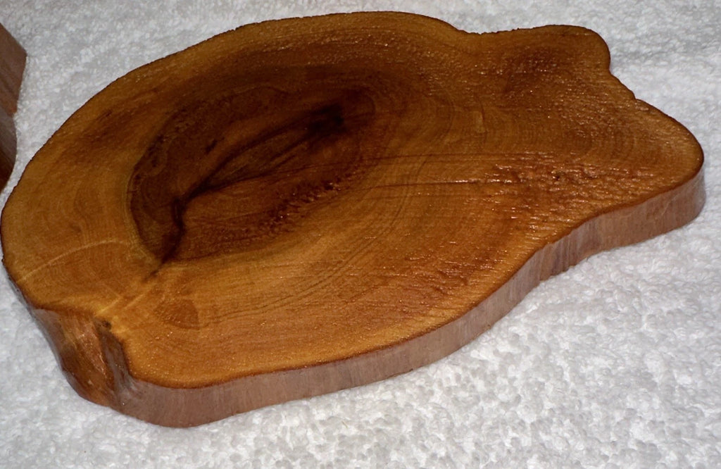 Log Slice Coaster Set of 4 Lodge Cabin Rustic Cork Backing New Unused Set