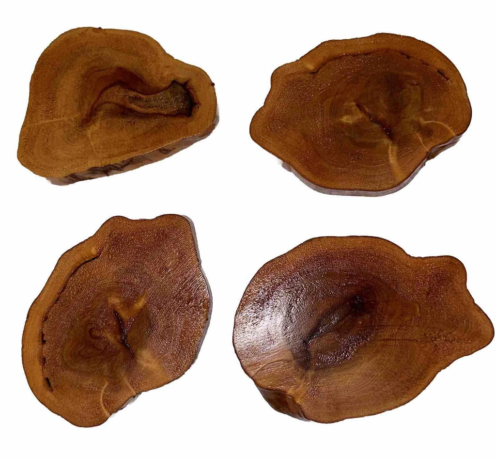 Log Slice Coaster Set of 4 Lodge Cabin Rustic Cork Backing New Unused Set