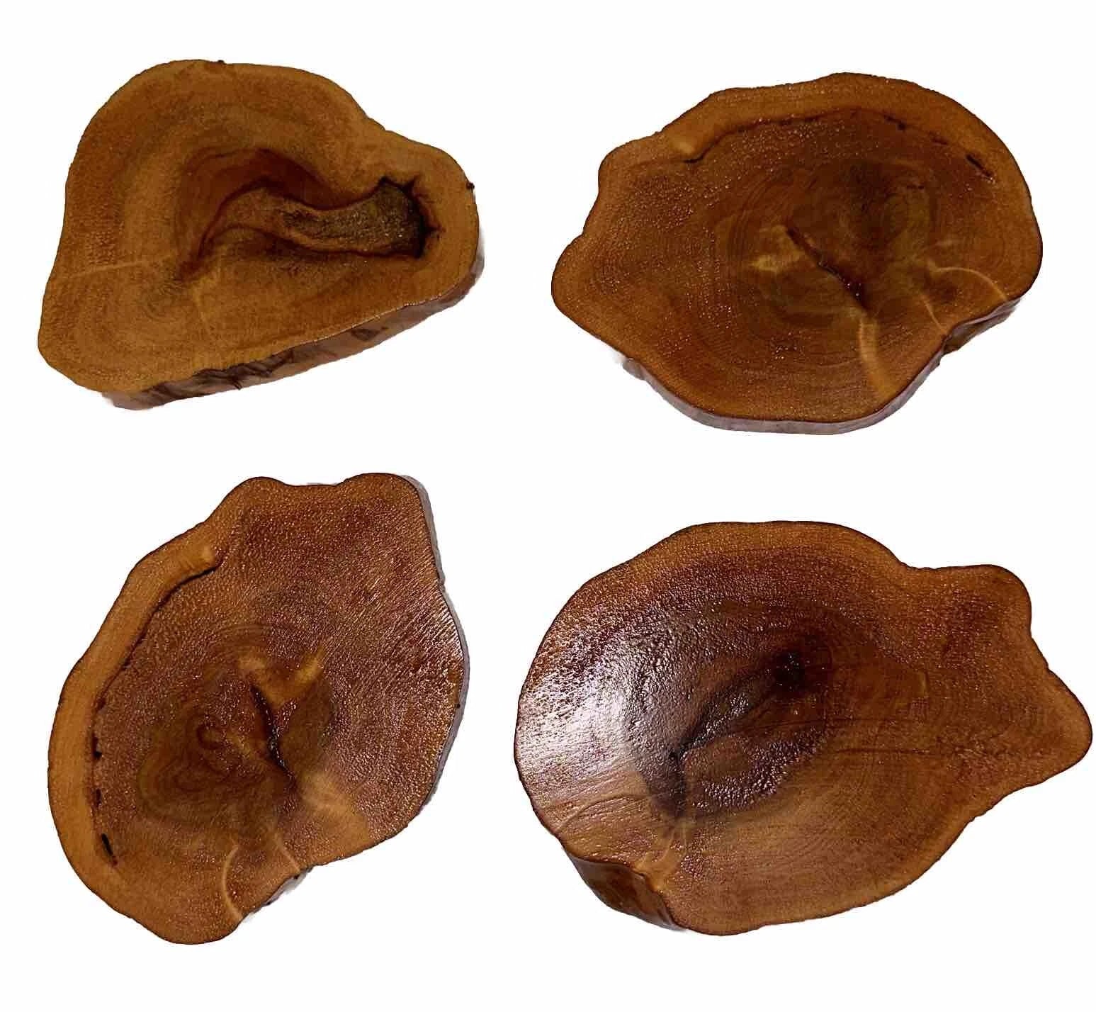 Log Slice Coaster Set of 4 Lodge Cabin Rustic Cork Backing New Unused Set