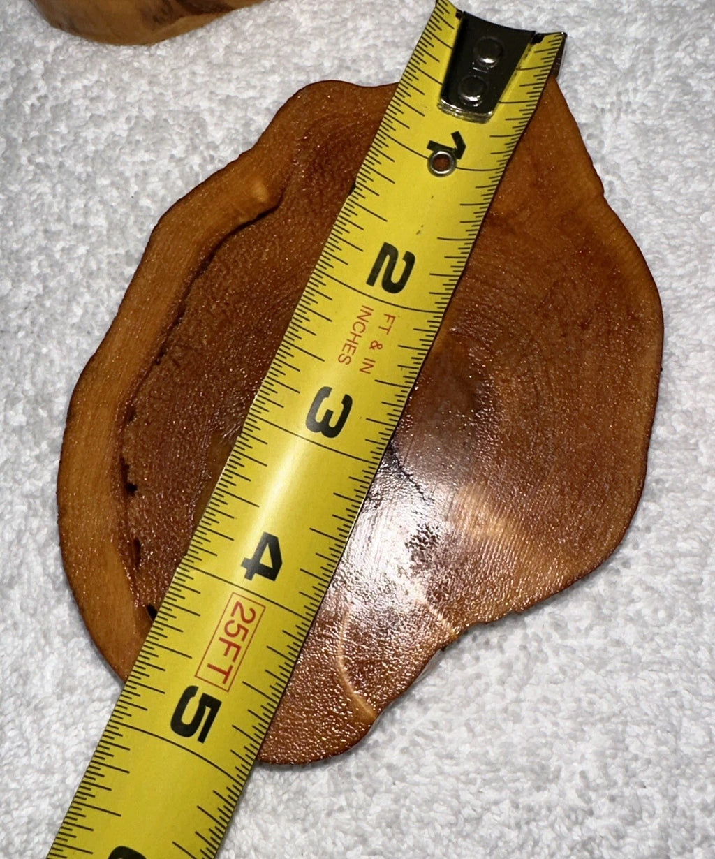 Log Slice Coaster Set of 4 Lodge Cabin Rustic Cork Backing New Unused Set