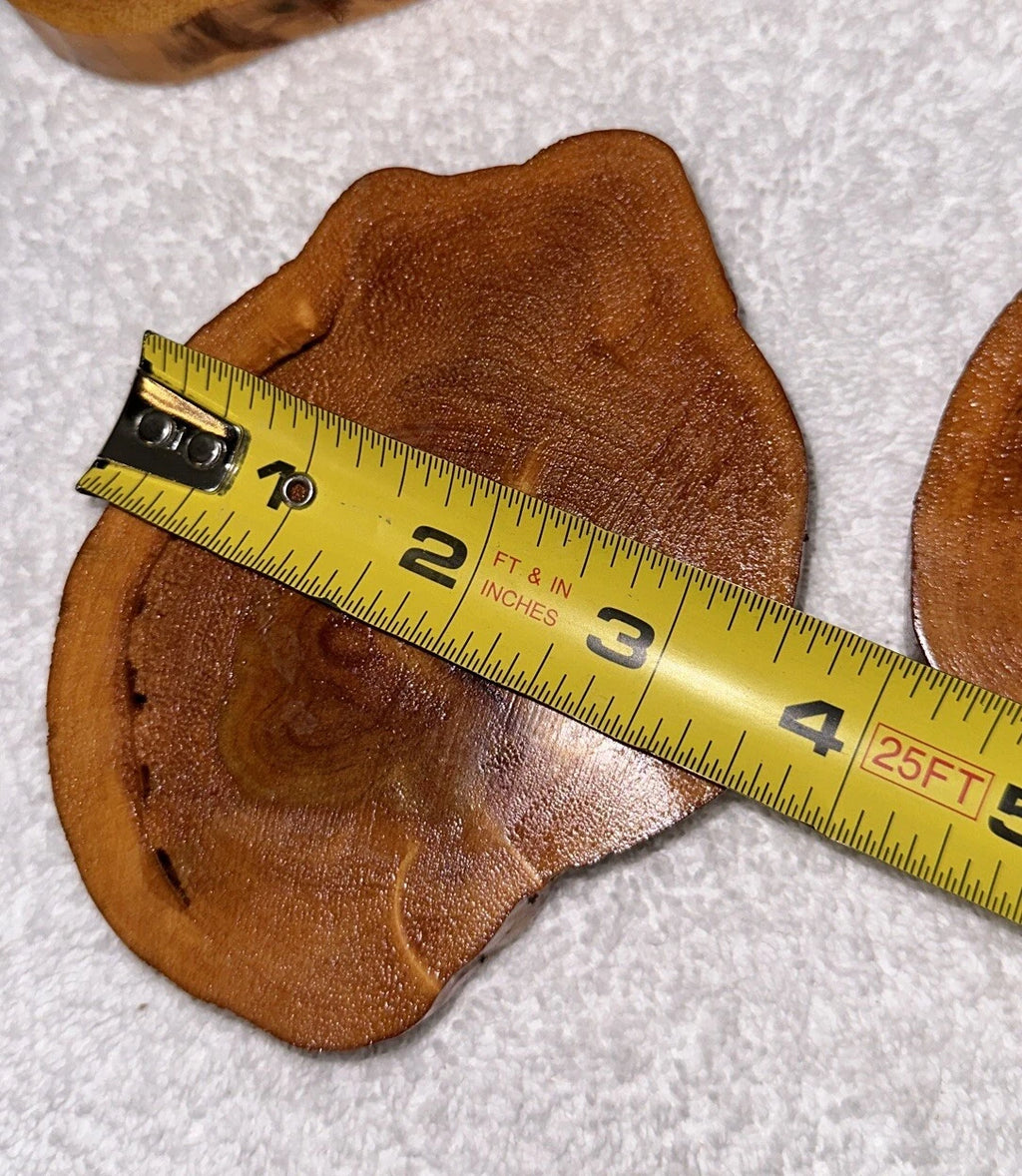 Log Slice Coaster Set of 4 Lodge Cabin Rustic Cork Backing New Unused Set